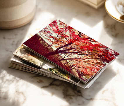 Tirage-Photo-promotion-photoweb-2025-11-06-CP